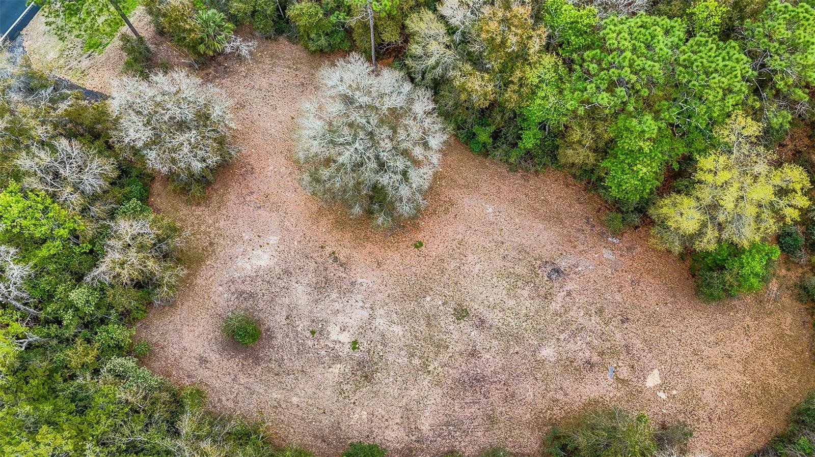 Williston, FL 32696,14350 NE HIGHWAY 27 ALT