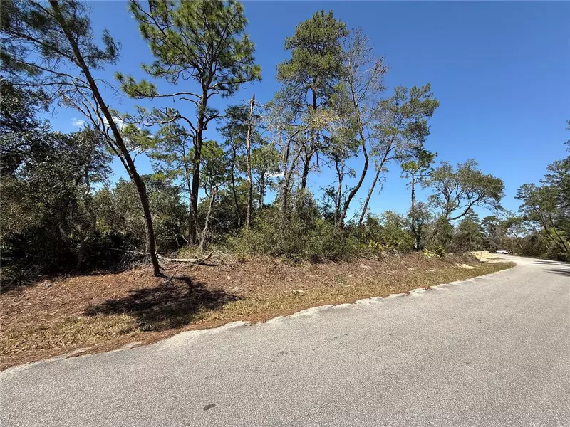 TBD FISHER RUN TER, Ocklawaha, FL 32179