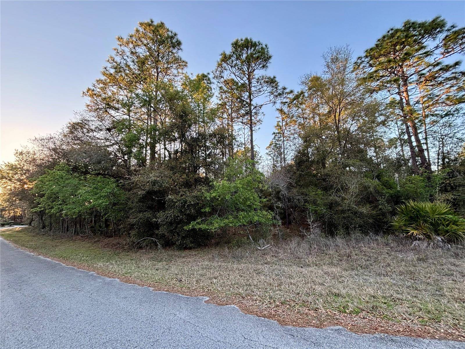 Dunnellon, FL 34431,Lot 33 SW 97 PL