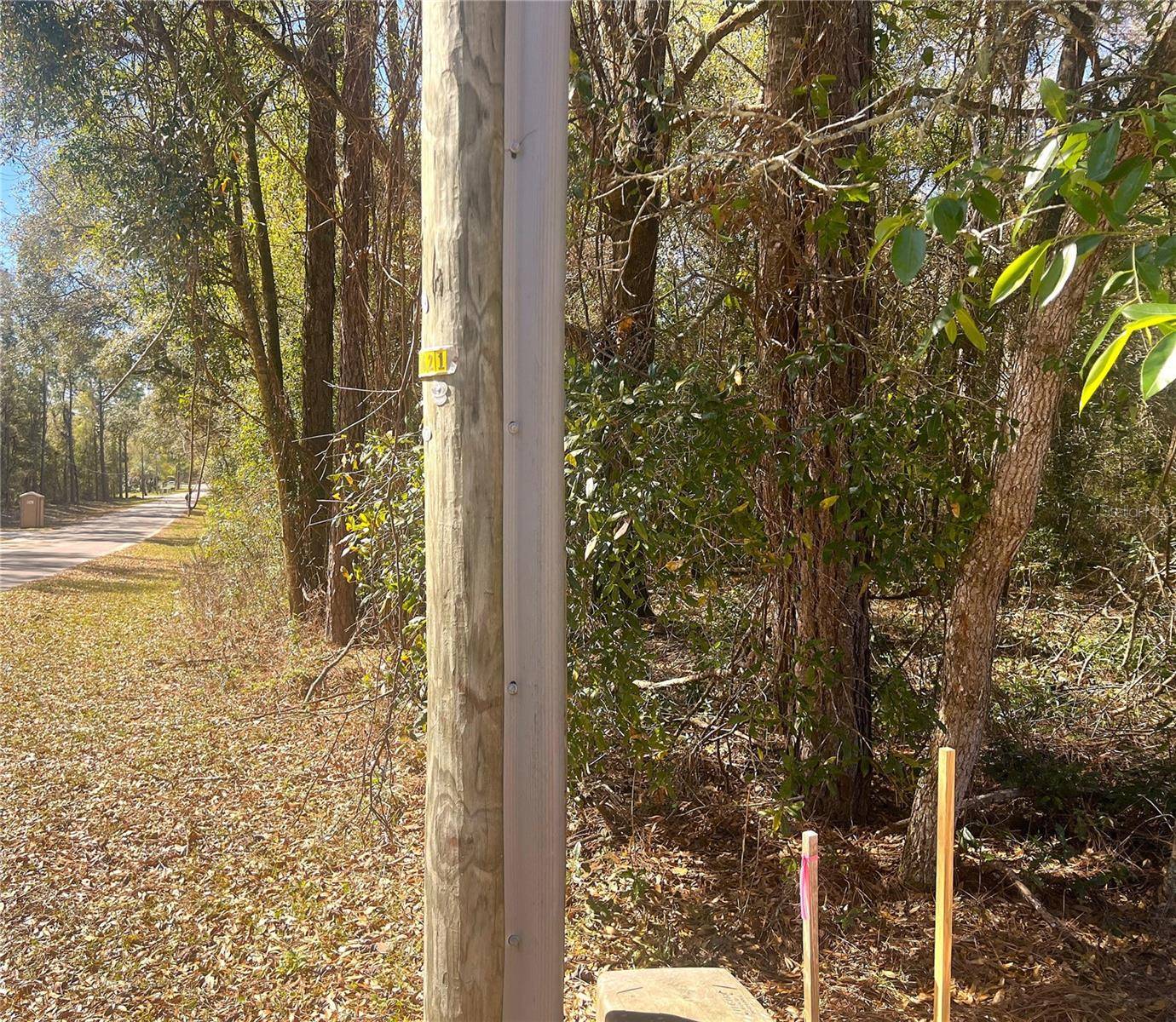 Dunnellon, FL 34431,0000 SW 199 COURT CT
