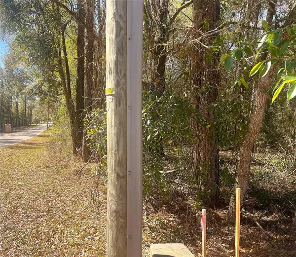 Dunnellon, FL 34431,0000 SW 199 COURT CT