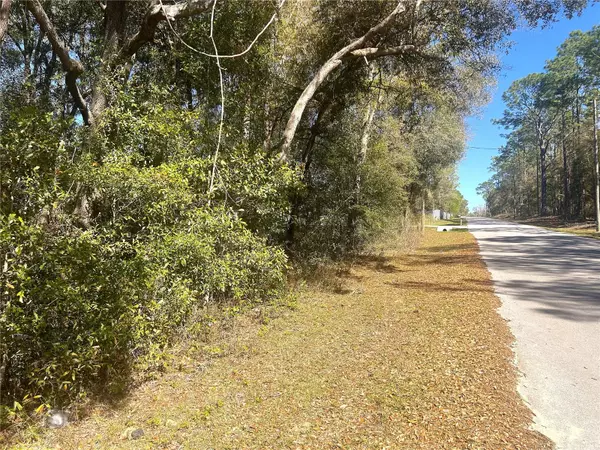 Dunnellon, FL 34431,0000 SW 199 COURT CT