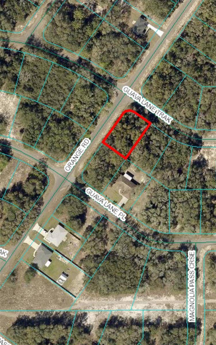 Ocklawaha, FL 32179,0 GUAVA LANE TRAK #Lot 1