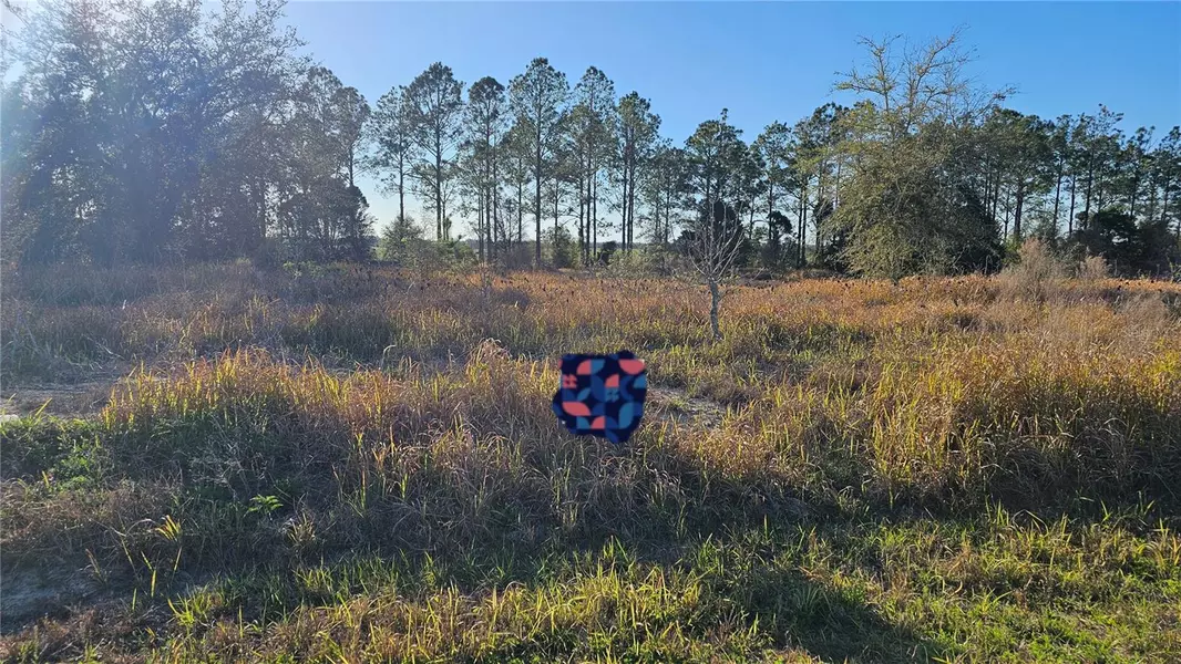 00 ASH ROAD, Ocala, FL 34472