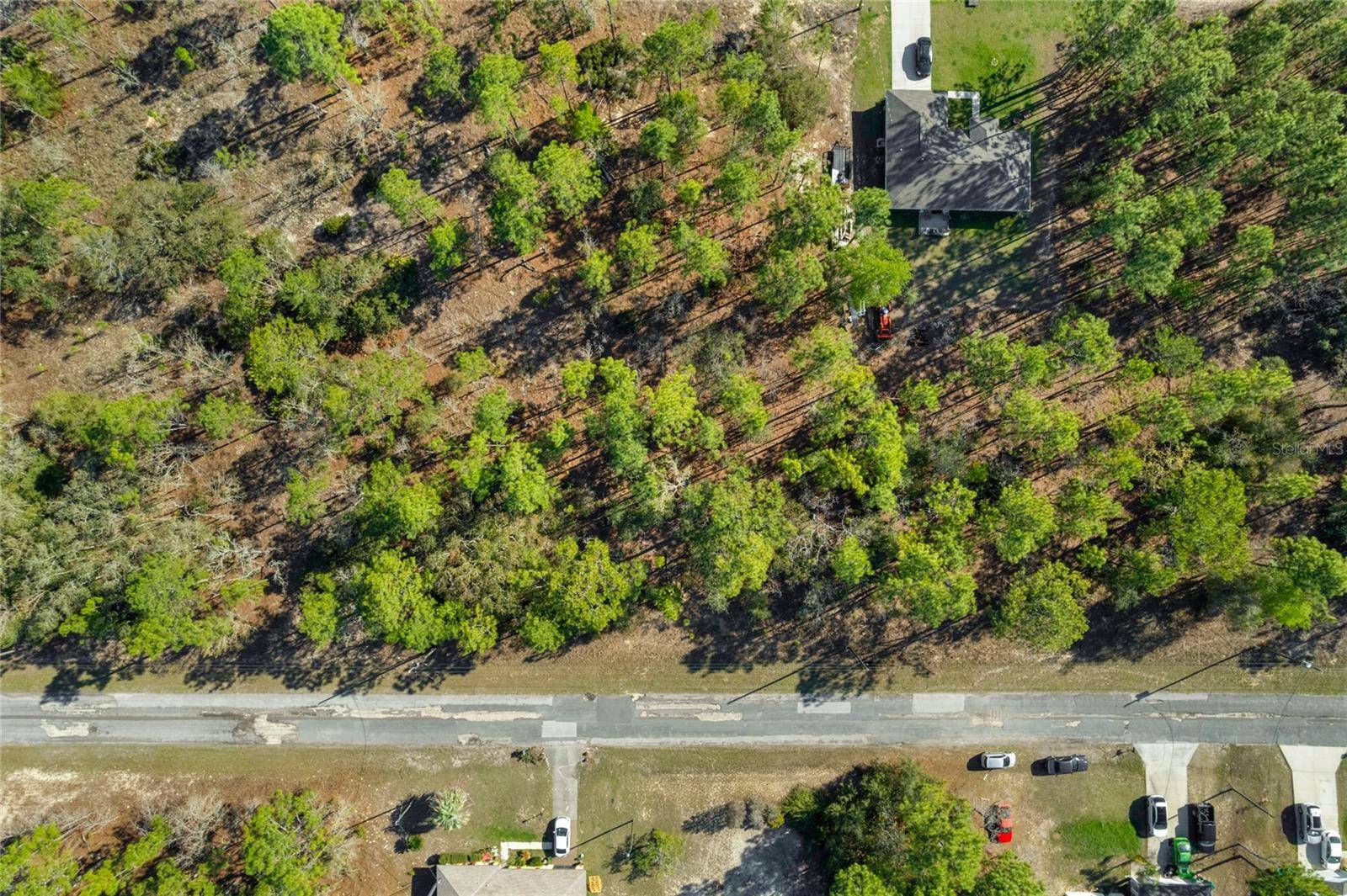 Citrus Springs, FL 34433,2706 W ARBUTUS DR