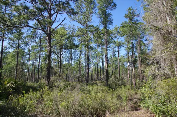 0 NE 67TH AVE, Citra, FL 32113