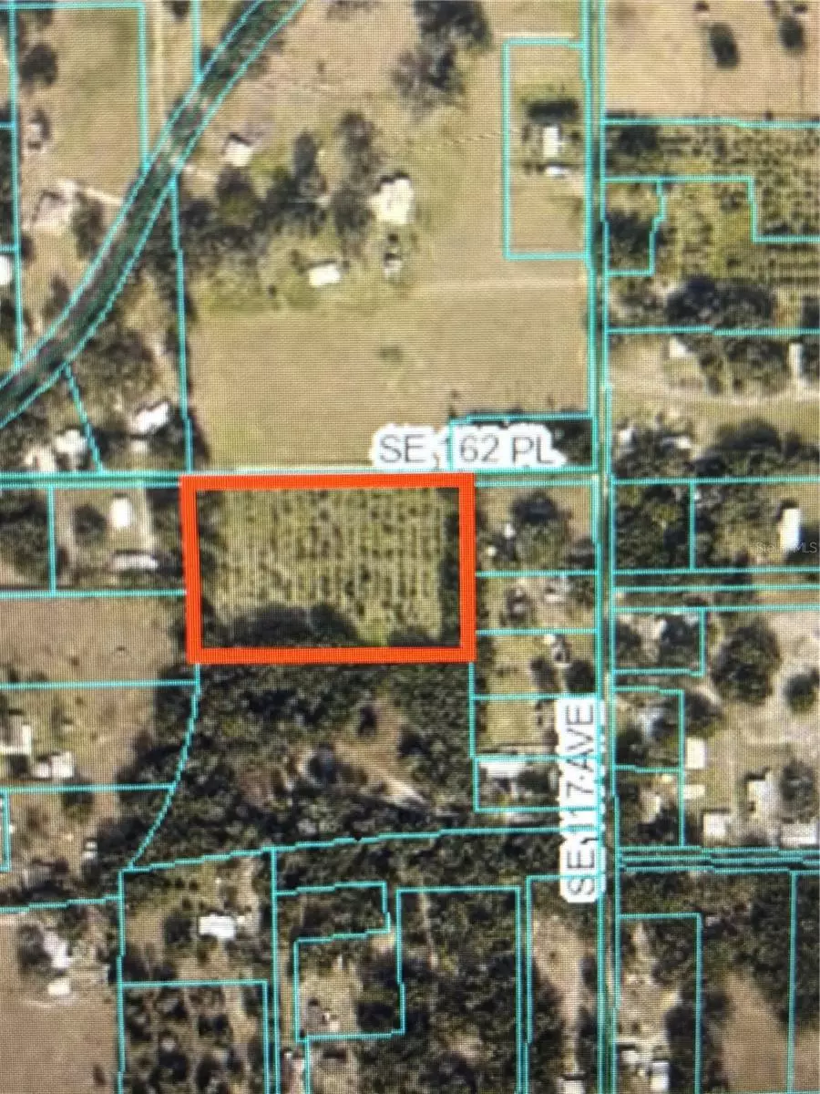Weirsdale, FL 32195,162ND PL SE