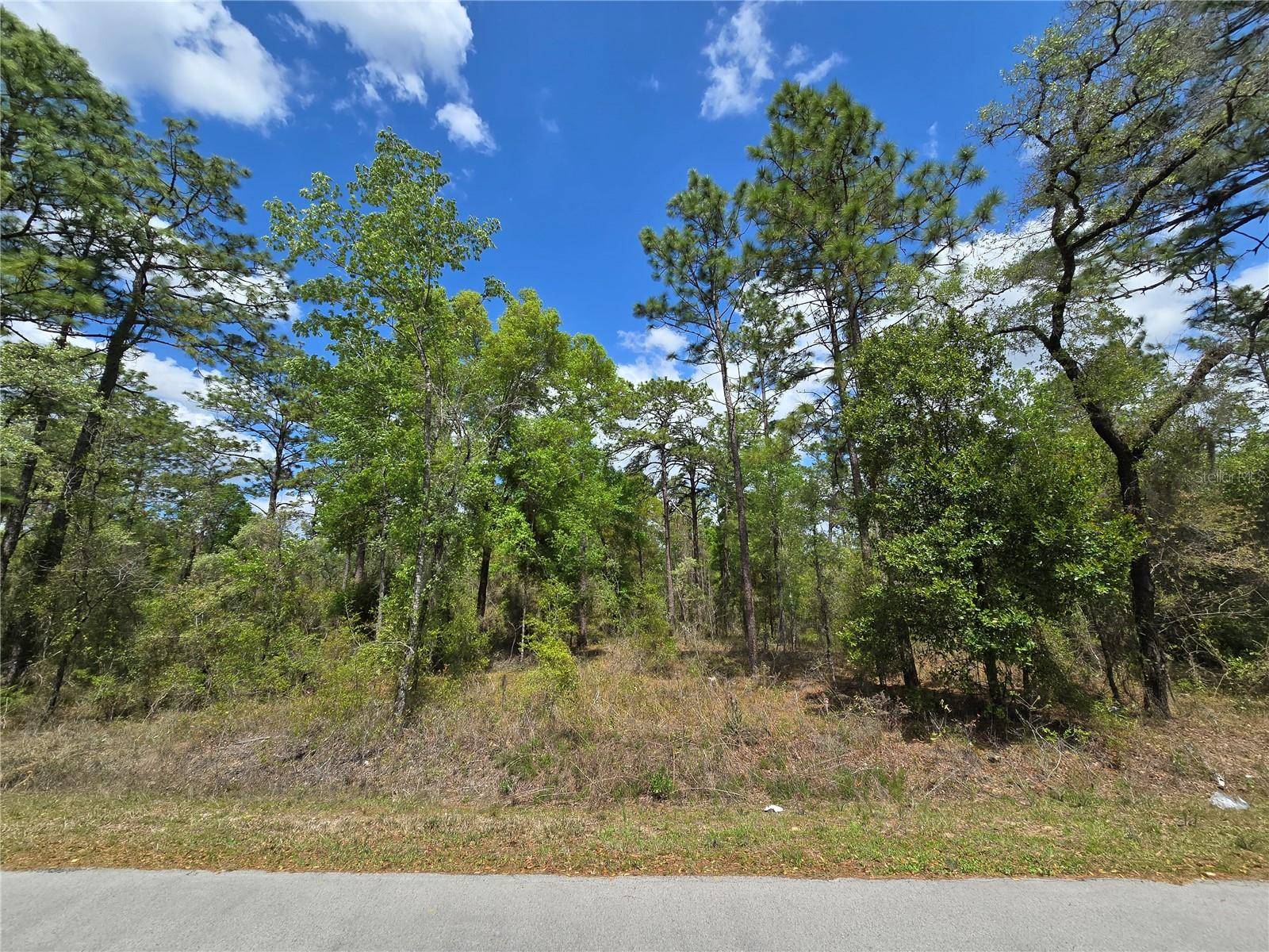 Dunnellon, FL 34431,24345 NW WATER OAK AVE
