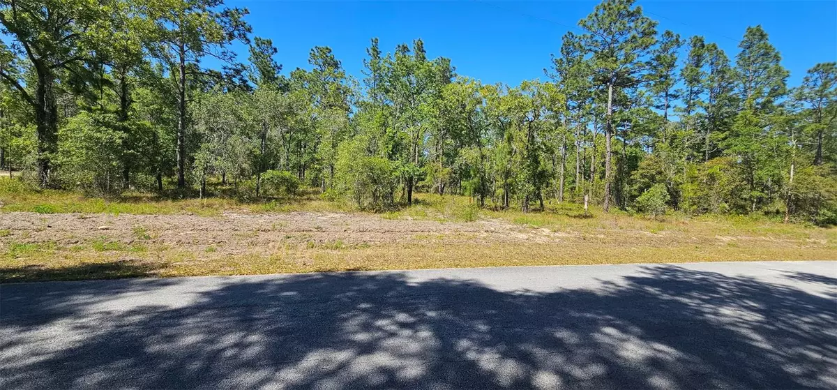 Dunnellon, FL 34431,0 NW MALLARD AVE