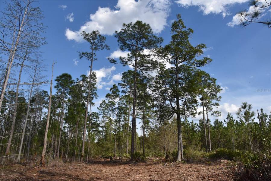 OFF SUN GARDEN RD, Palatka, FL 32177