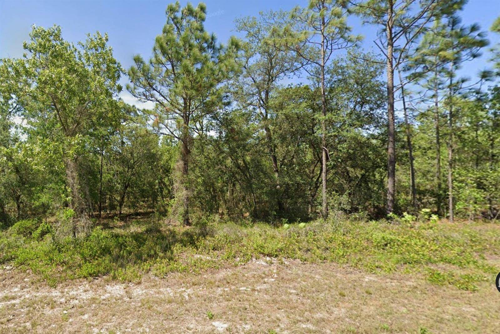 00 SW MARINE BLVD,  Dunnellon,  FL 34431