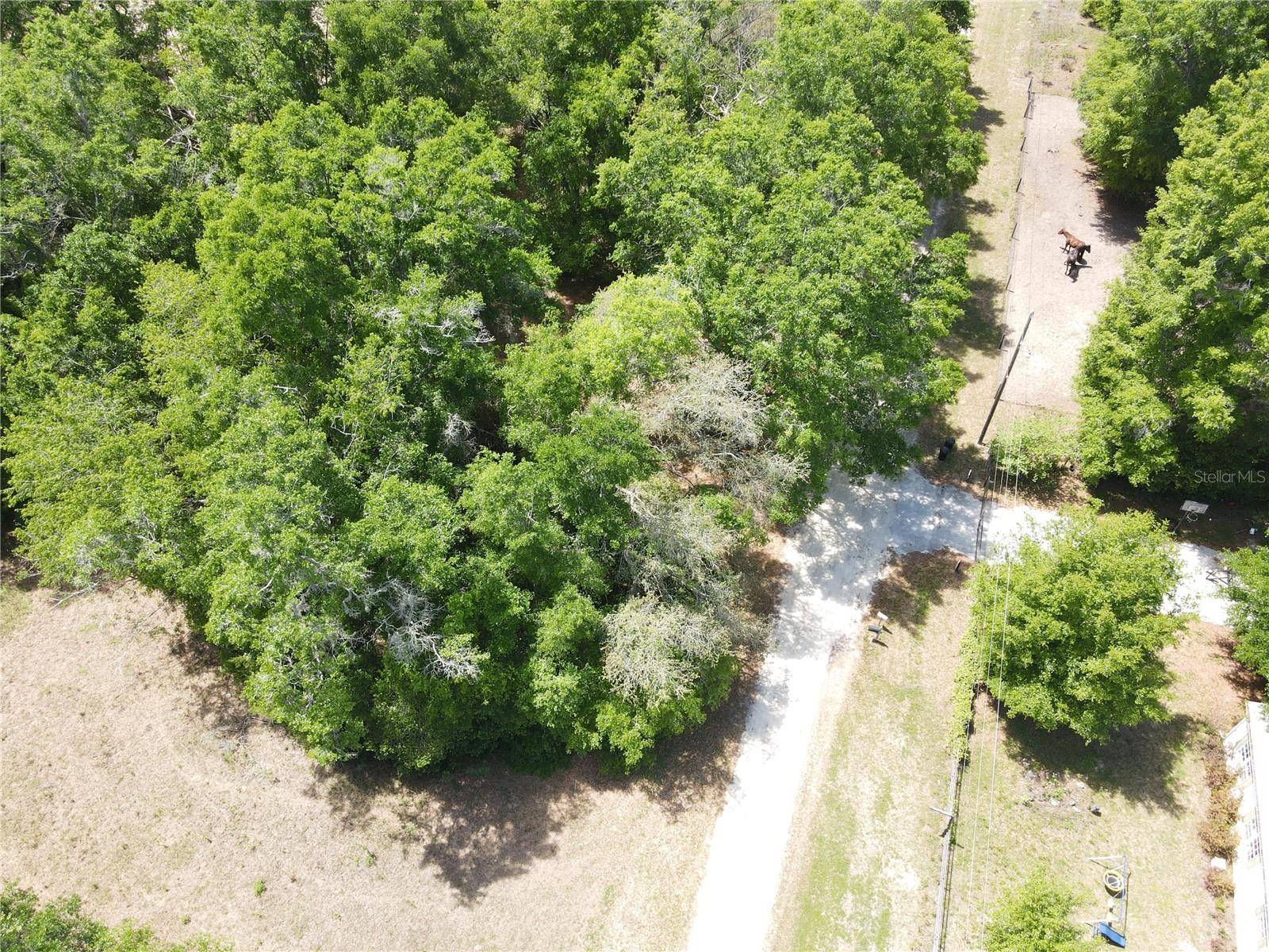 Ocala, FL 34481,SW 30 PL