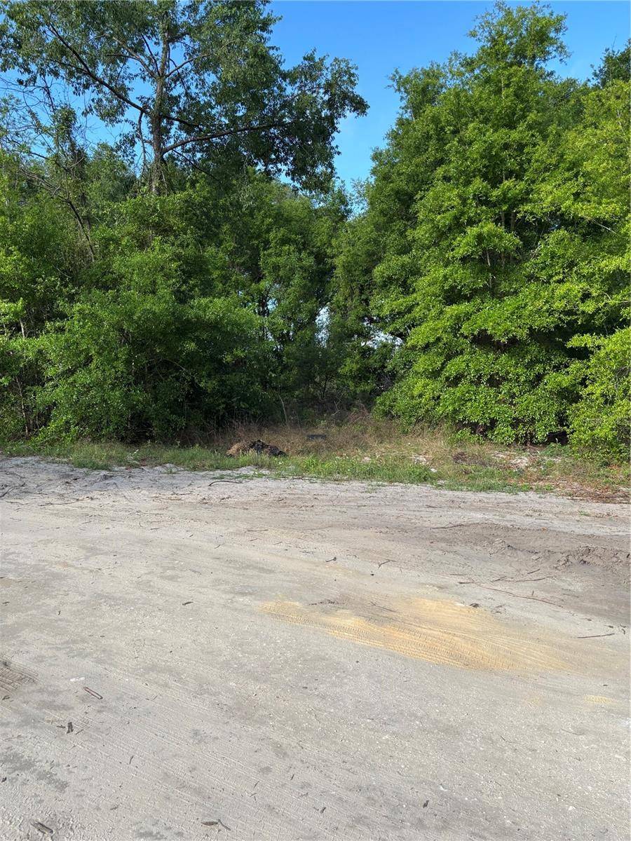 SE 36 CT, Summerfield, FL 34491