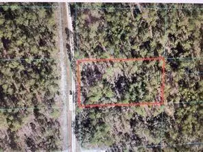 Dunnellon, FL 34432,00 SW 136TH TER