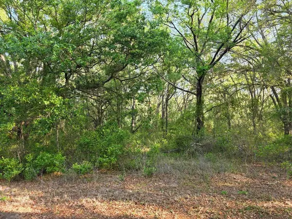 SW SEA CLIFF DRIVE, Dunnellon, FL 34431
