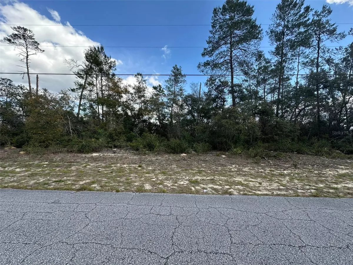 Citrus Springs, FL 34433,8385 N FARRINGTON DR