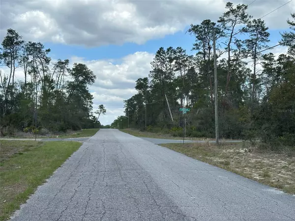 Citrus Springs, FL 34433,8385 N FARRINGTON DR