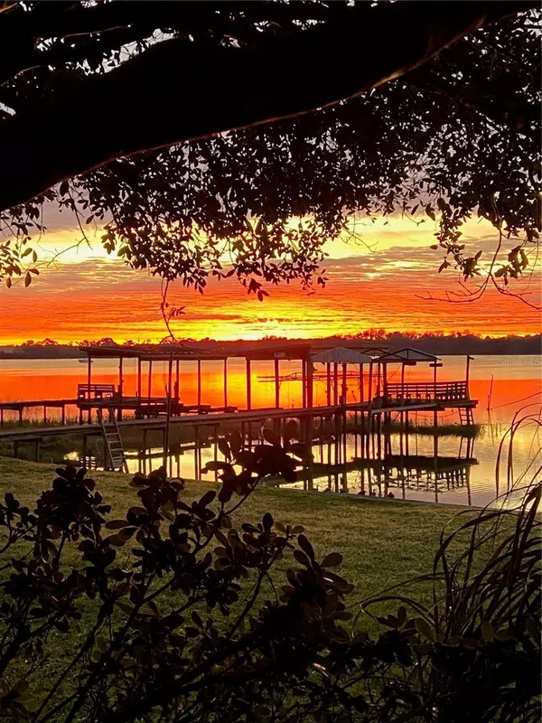 Summerfield, FL 34491,31 SE CHINICA DR