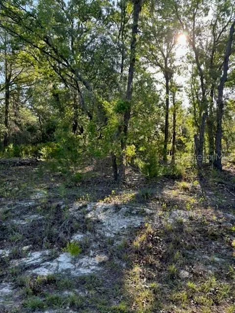 TBD MALAUKA TRL, Ocklawaha, FL 32179