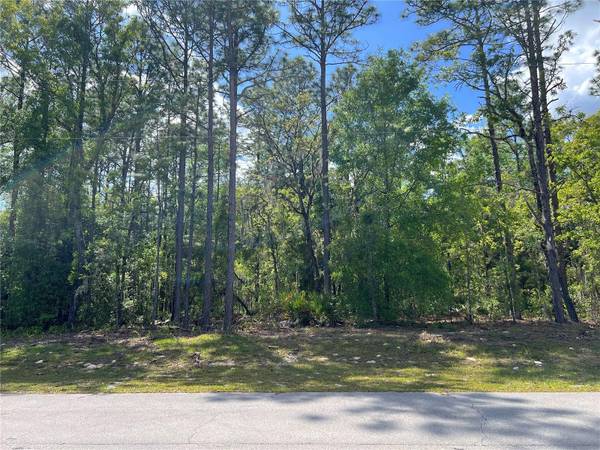 SW 89 CIR, Ocala, FL 34473