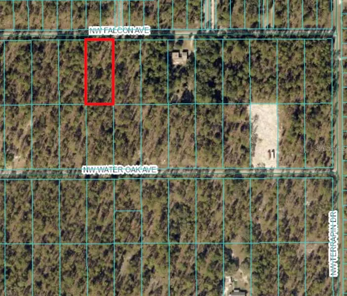 TBD NW FALCON AVE, Dunnellon, FL 34431