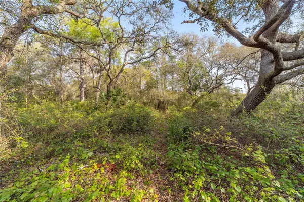 Ocklawaha, FL 32179,475 FISHER RD