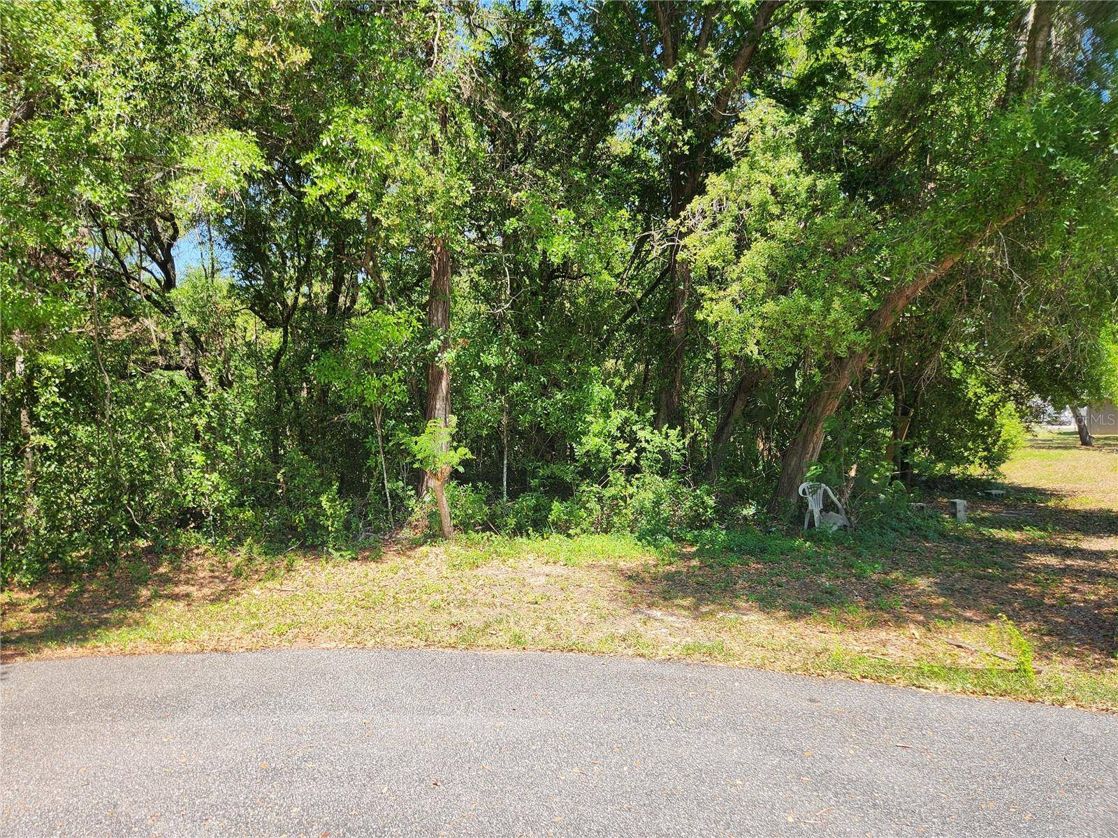 Ocala, FL 34473,TBD SW 144TH ST
