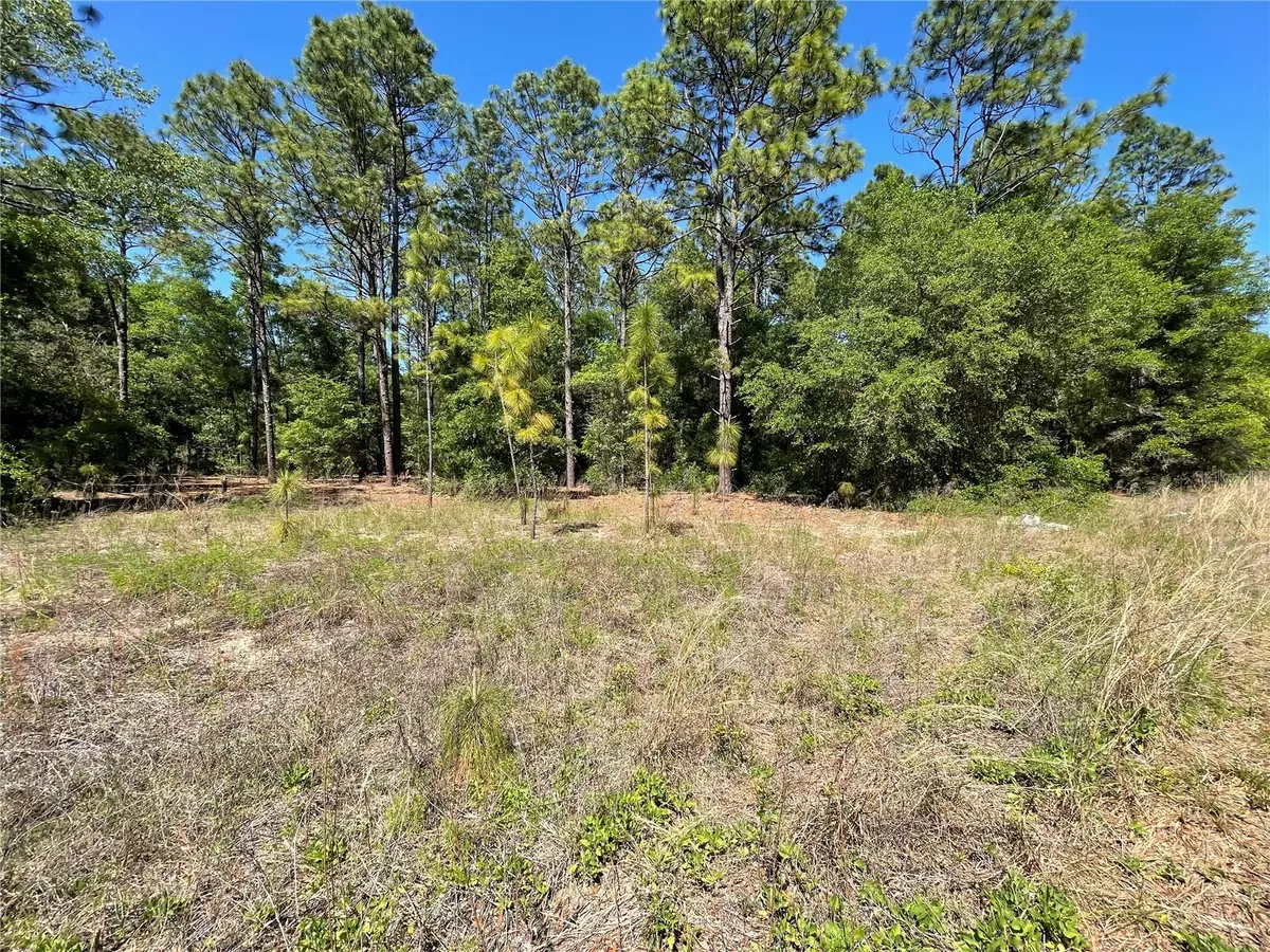 Ocala, FL 34481,Lot 25 SW 21ST PL