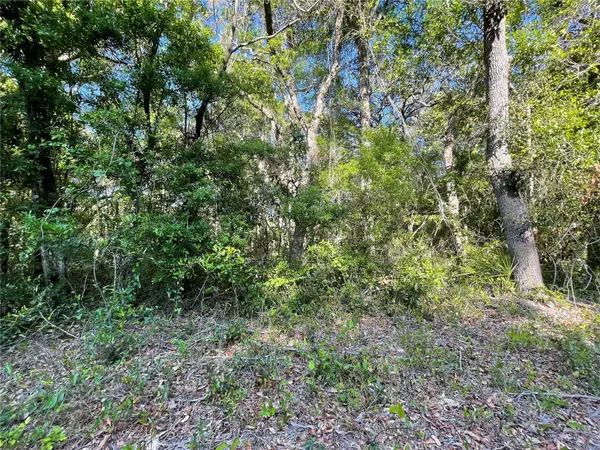 Chiefland, FL 32626,Lot 3 NW 82 CT