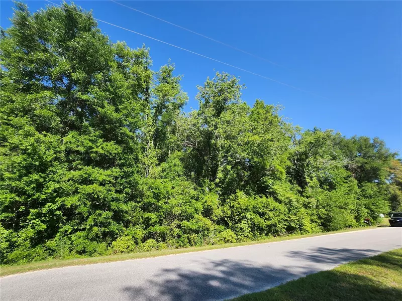 TBD SW YAZOO CT, Dunnellon, FL 34431