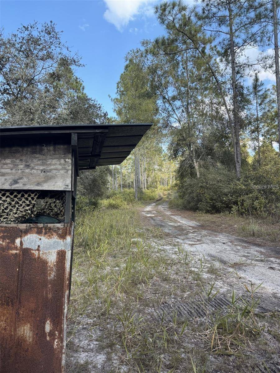 Fort Mc Coy, FL 32134,NE 150TH AVE RD #LOT 5