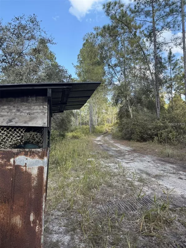 Fort Mc Coy, FL 32134,NE 150TH AVE RD #LOT 5
