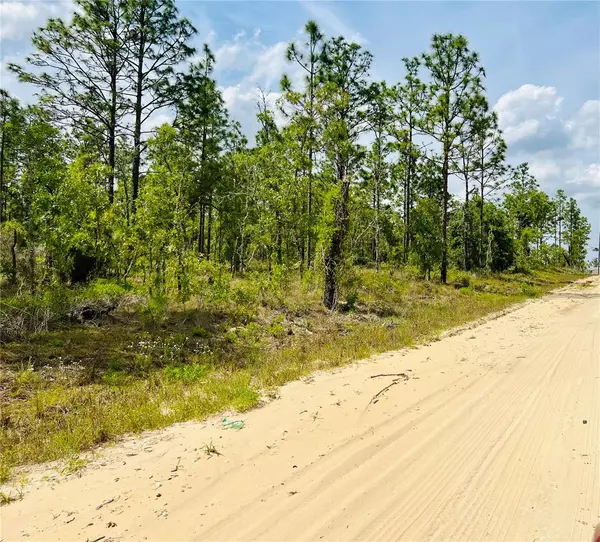 0000 NE 132 TERRACE TER, Williston, FL 32696