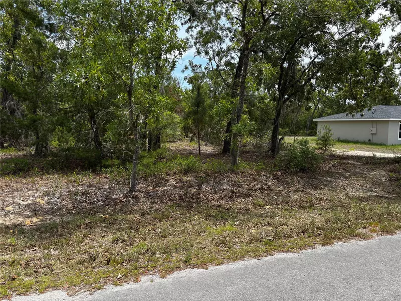 MALAUKA PLACE TRL, Ocklawaha, FL 32179
