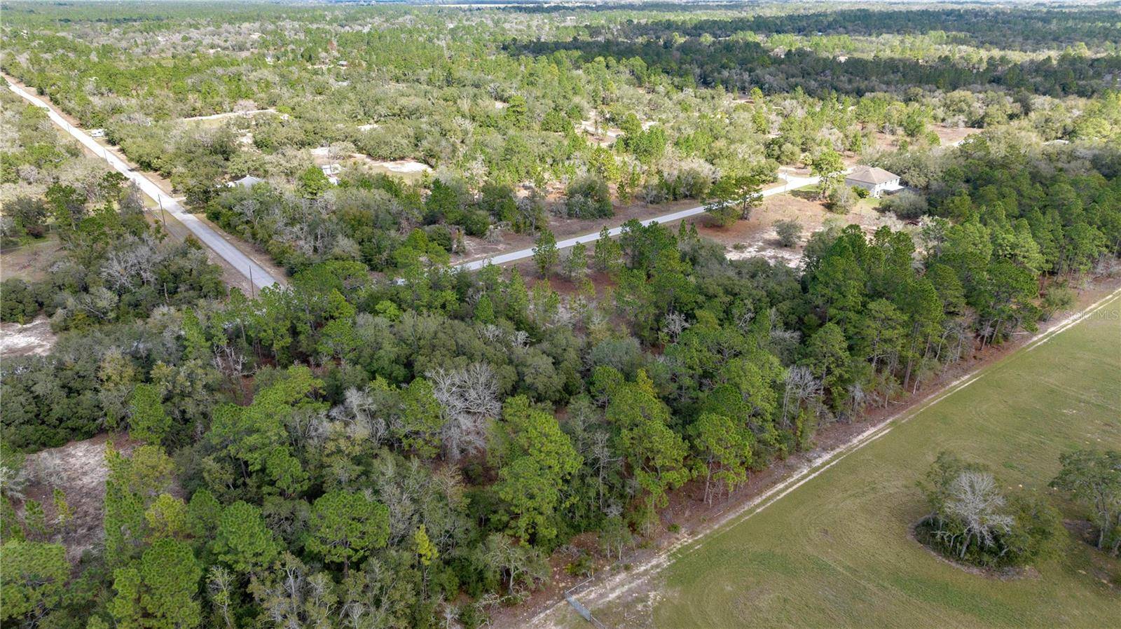 Dunnellon, FL 34431,BLK17, Lot 21 SW TIGER LAKE BLVD