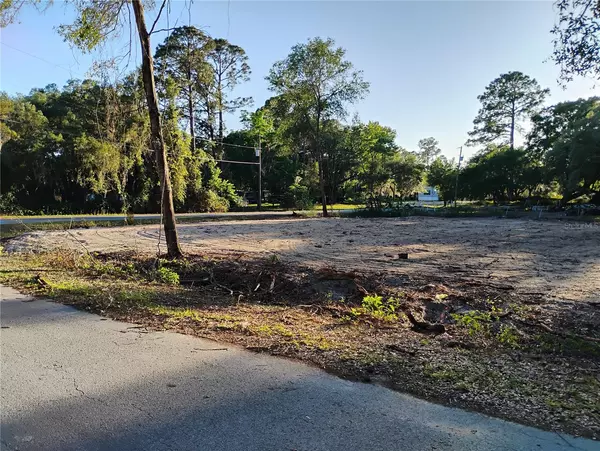 Ocklawaha, FL 32179,SE 189TH TER