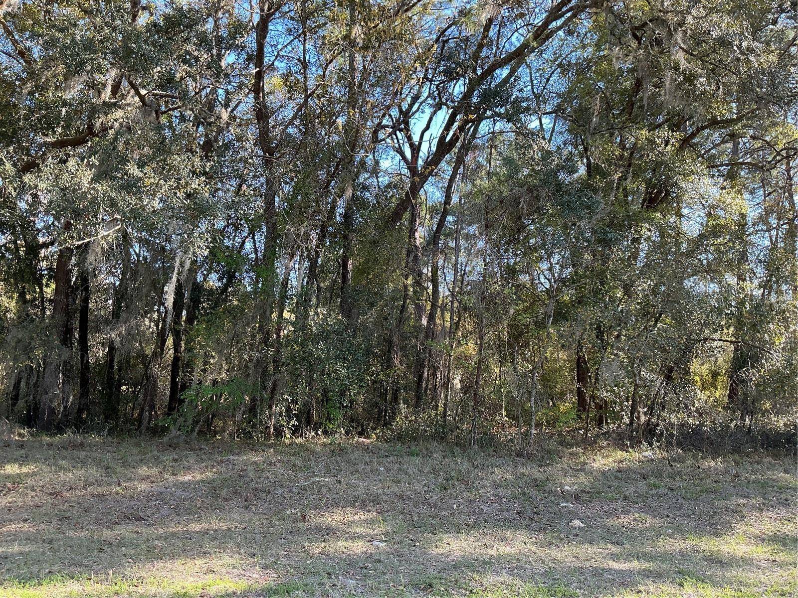 0 SW 141 PL, Ocala, FL 34473
