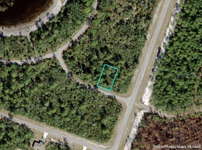 TBD FISHER LOOP RUN, Ocklawaha, FL 32179