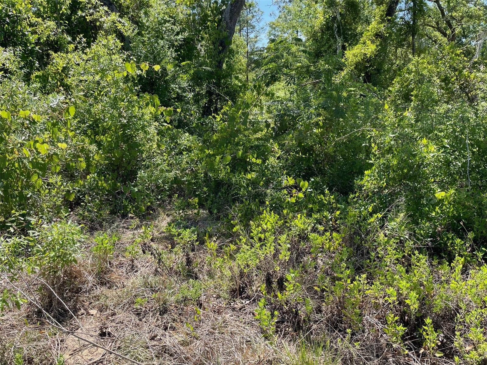 Lecanto, FL 34461,5437 W CINNAMON RIDGE DR