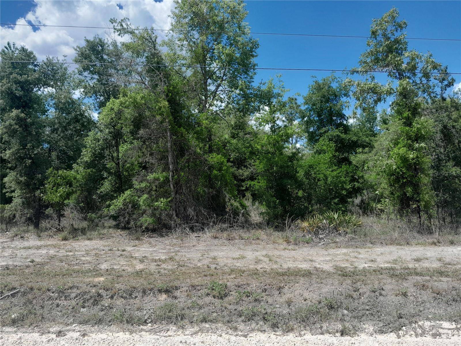 tbd NE 63RD PL, Williston, FL 32696