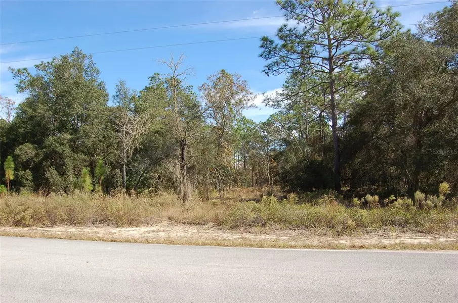 LOMBARDY LN, Dunnellon, FL 34431
