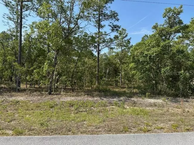 Dunnellon, FL 34431,Lot 20 SW ANCHOR BLVD