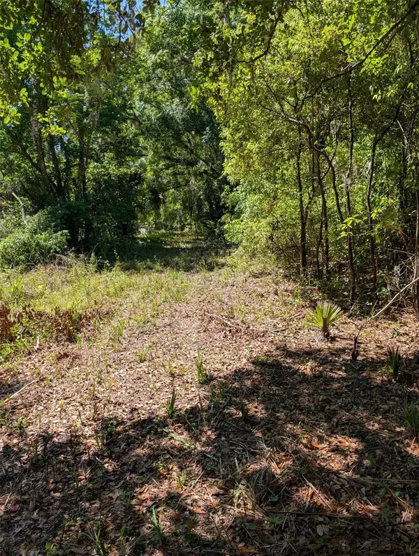 0 NW 202ND PL, Mc Intosh, FL 32664