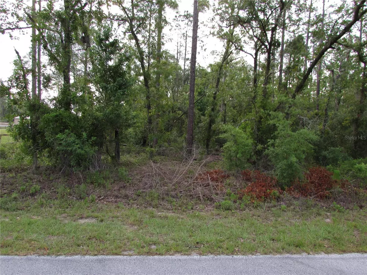 Dunnellon, FL 34431,Lot 37 SW HUNTER HILL AVE