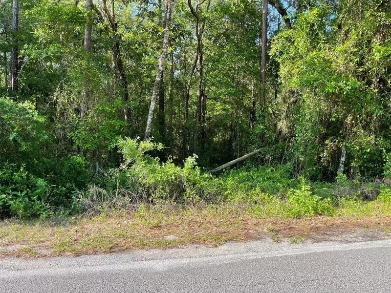 LOT 13 SW NAUTILUS BLVD, Dunnellon, FL 34431