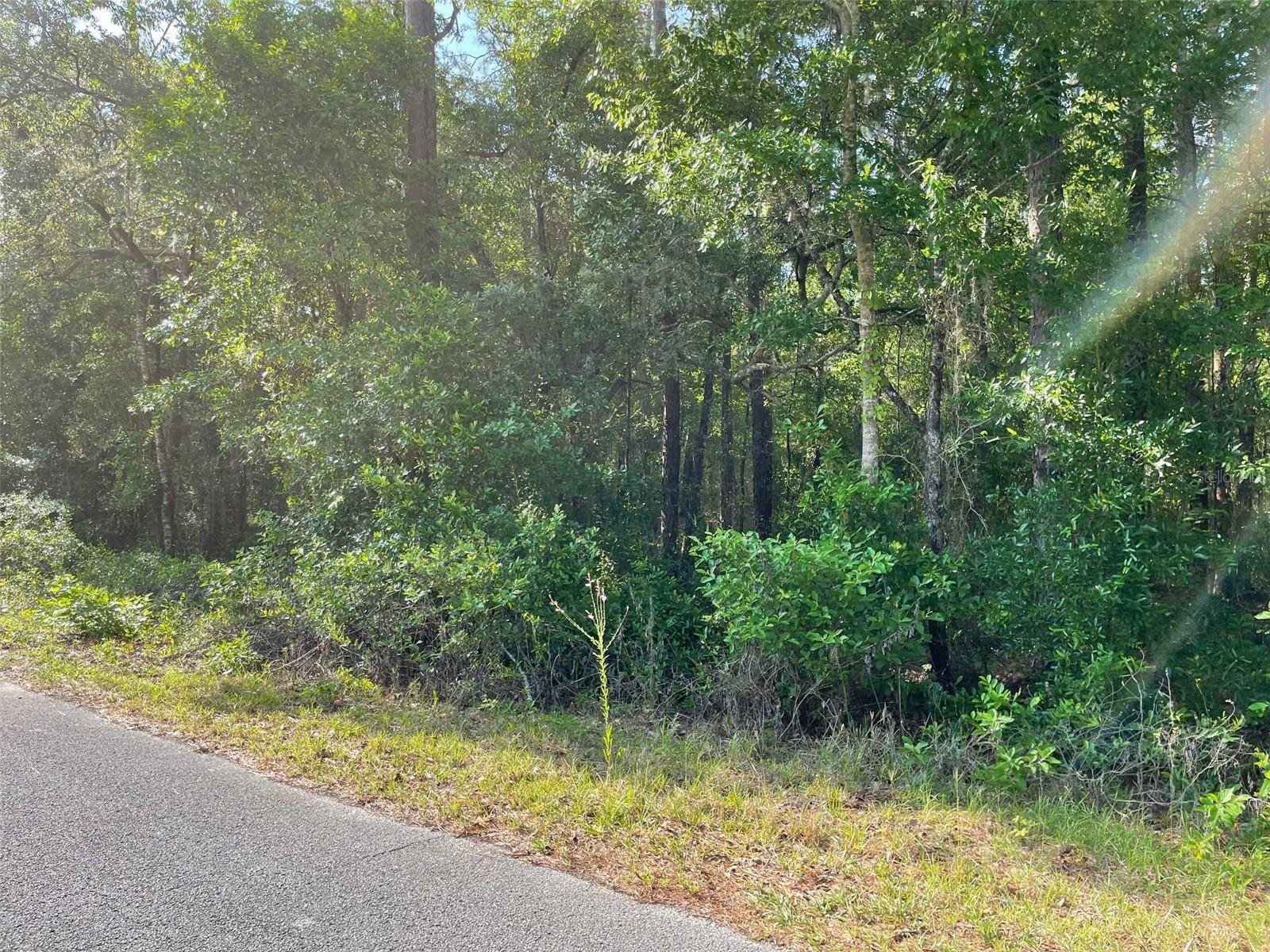 Dunnellon, FL 34431,LOT 13 SW NAUTILUS BLVD
