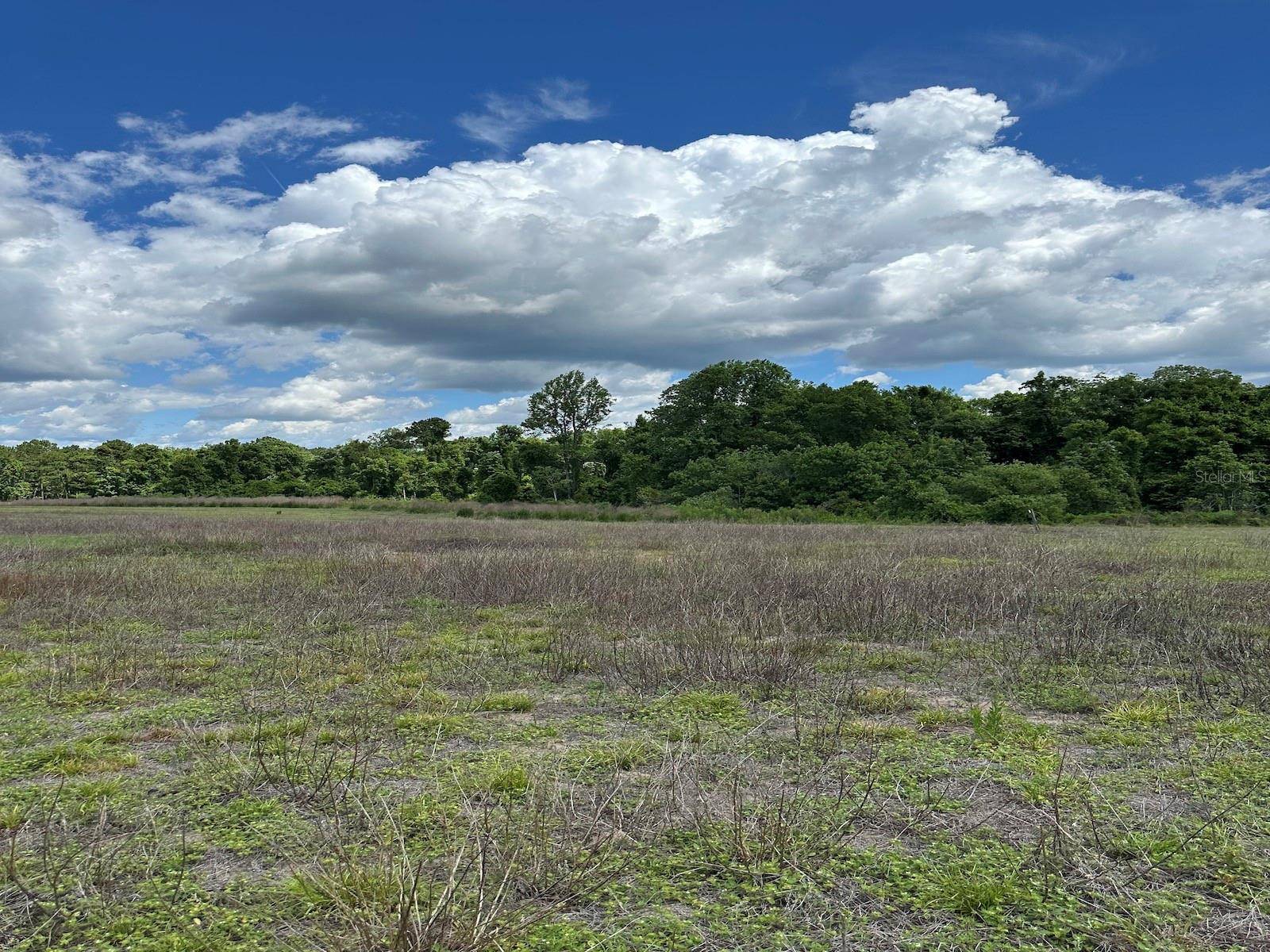 Fort Mc Coy, FL 32134,TBD NE 240TH ST