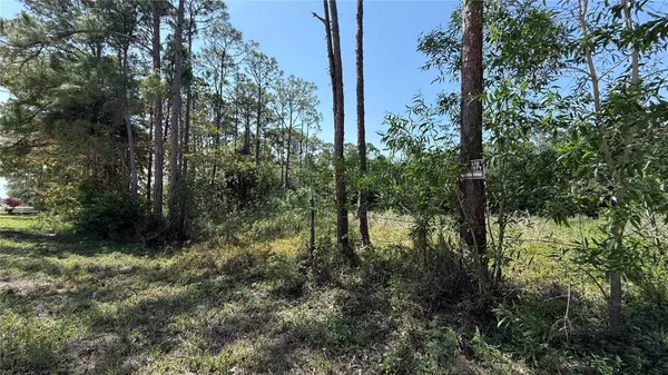 Loxahatchee, FL 33470,15127 86TH RD N