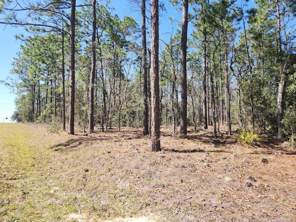 Lot 12 SW 66TH ST, Ocala, FL 34481