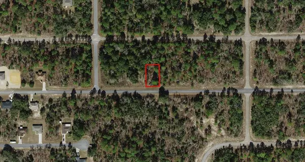 Dunnellon, FL 34434,2333 W CHAMBERLAIN ST
